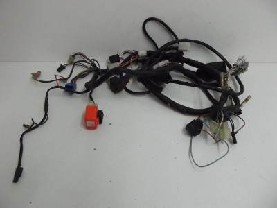 faisceau électrique complet en TDR 125 1993-2003