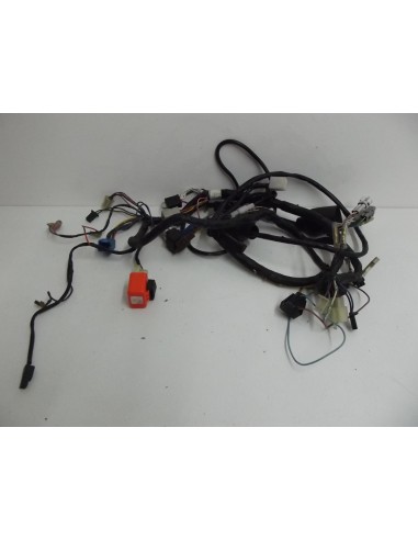 faisceau électrique complet en TDR 125 1993-2003