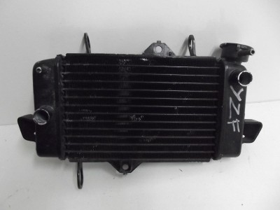 radiateur avec un petit enfonc R 125 125 2011-2018