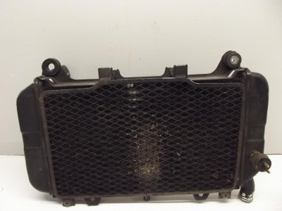 radiateur de refroidissement d ZZR 600 1993-2004